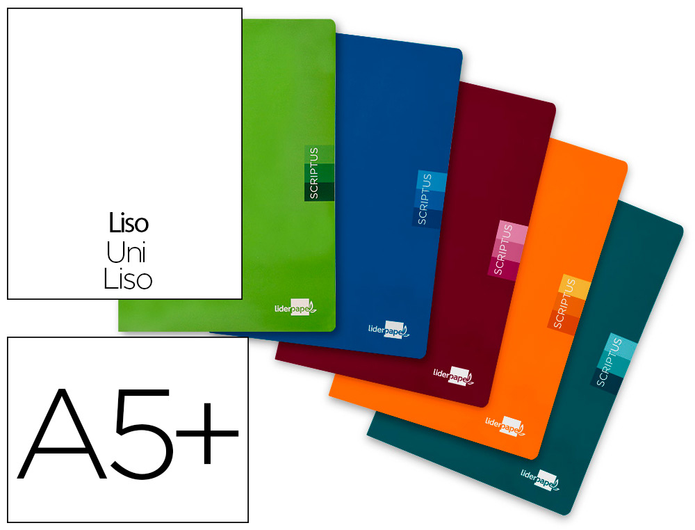 CADERNO AGRAFADO LIDERPAPEL SCRIPTUS DIN A5 48 F LISA SEM MARGEM CORES SORTIDAS PAPEL 90 GR