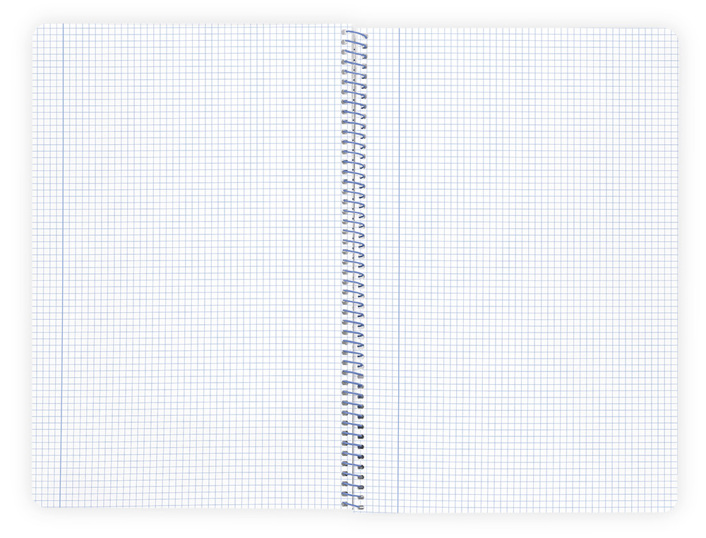 CADERNO ESPIRAL LIDERPAPEL A4 WONDER CAPA PLASTICO 80F 90GR QUADRICULA 4MM COM MARGEM VERMELHO
