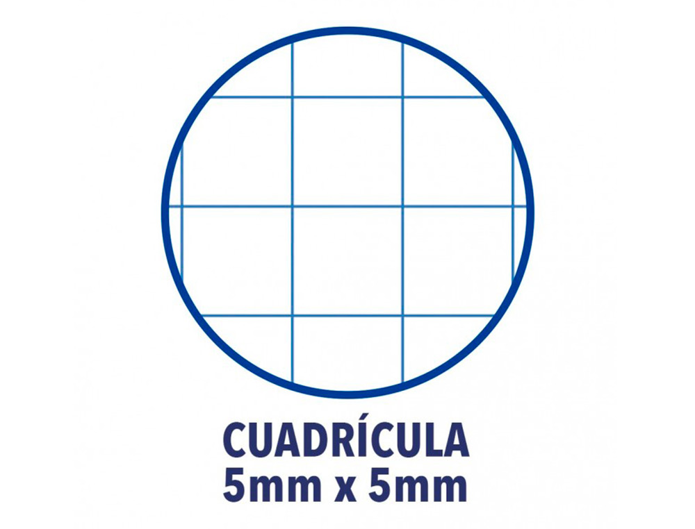 RECARGA COR 1 OXFORD DIN A4+ 80 FOLHAS 90 GR QUADRICULA 5 MM 4 FUROS COR FUCSIA