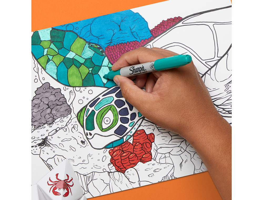 MARCADOR SHARPIE PERMANENTE PONTA 0,9 MM PACK REGRESSO AS AULAS BLISTER DE 18 UNIDADES CORES SORTIDAS