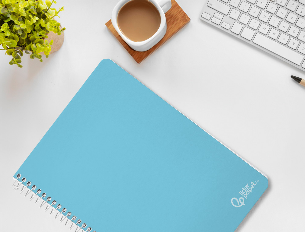 CADERNO ESPIRAL LIDERPAPEL WITTY DIN A4 CAPA DURA 80F 90GR QUADRICULA 5MM COM MARGEM CORES SORTIDAS