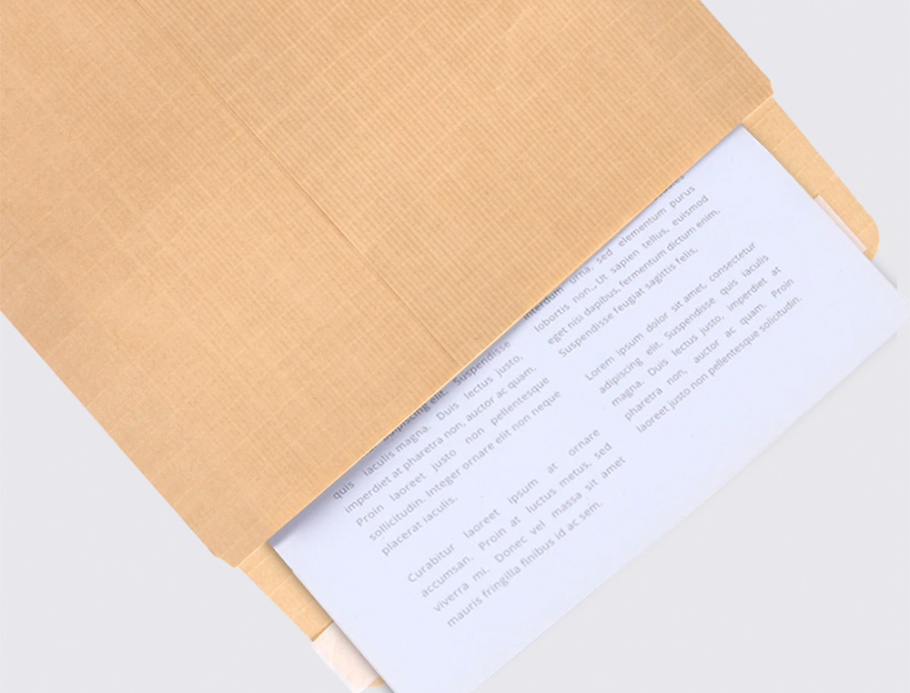 ENVELOPE LIDERPAPEL N.2 SALARIOS CASTANHO 120X176MM SEM JANELA PACK DE 1000 UNIDADES