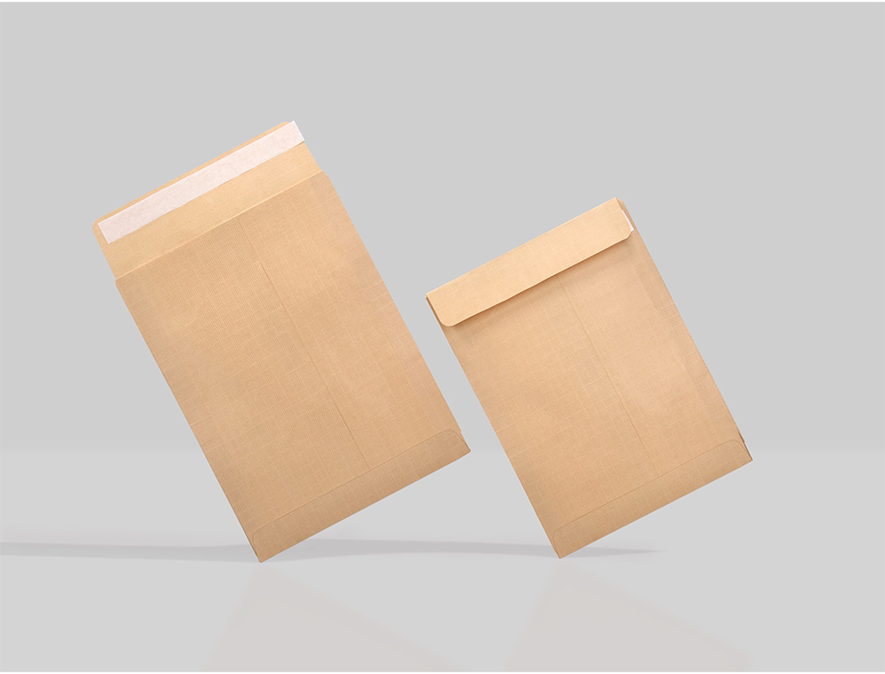 ENVELOPE LIDERPAPEL N.2 SALARIOS CASTANHO 120X176MM SEM JANELA PACK DE 1000 UNIDADES
