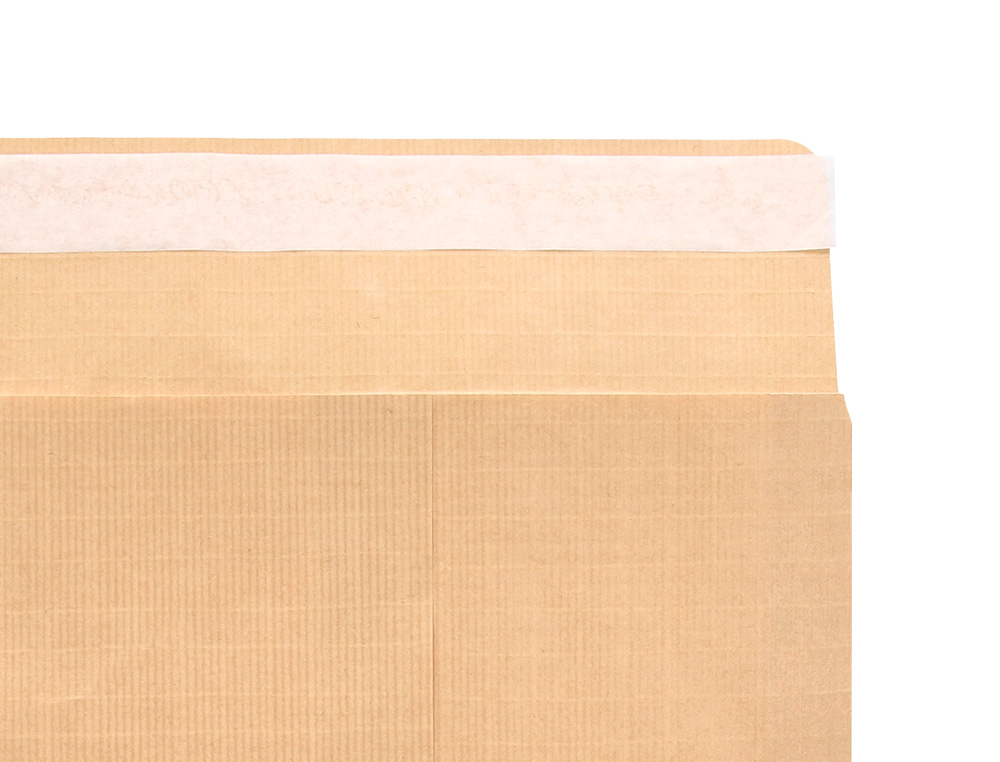 ENVELOPE LIDERPAPEL N.2 SALARIOS CASTANHO 120X176MM SEM JANELA PACK DE 1000 UNIDADES