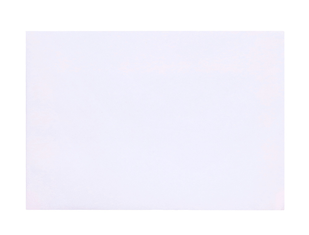 ENVELOPE LIDERPAPEL N.19 MÍNIMO NORMALIZADO BRANCO 114X162MM TIRA DE SILICONE PACK DE 500 UNIDADES