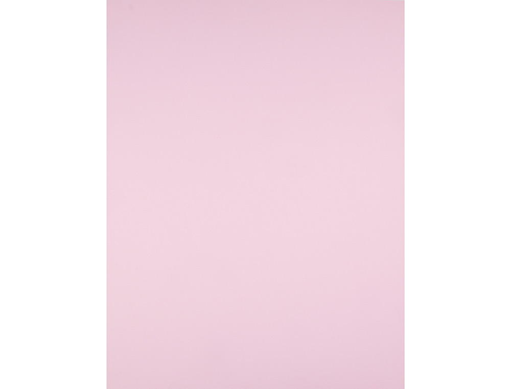 CARTOLINA LIDERPAPEL 50X65 CM 240 GR ROSA