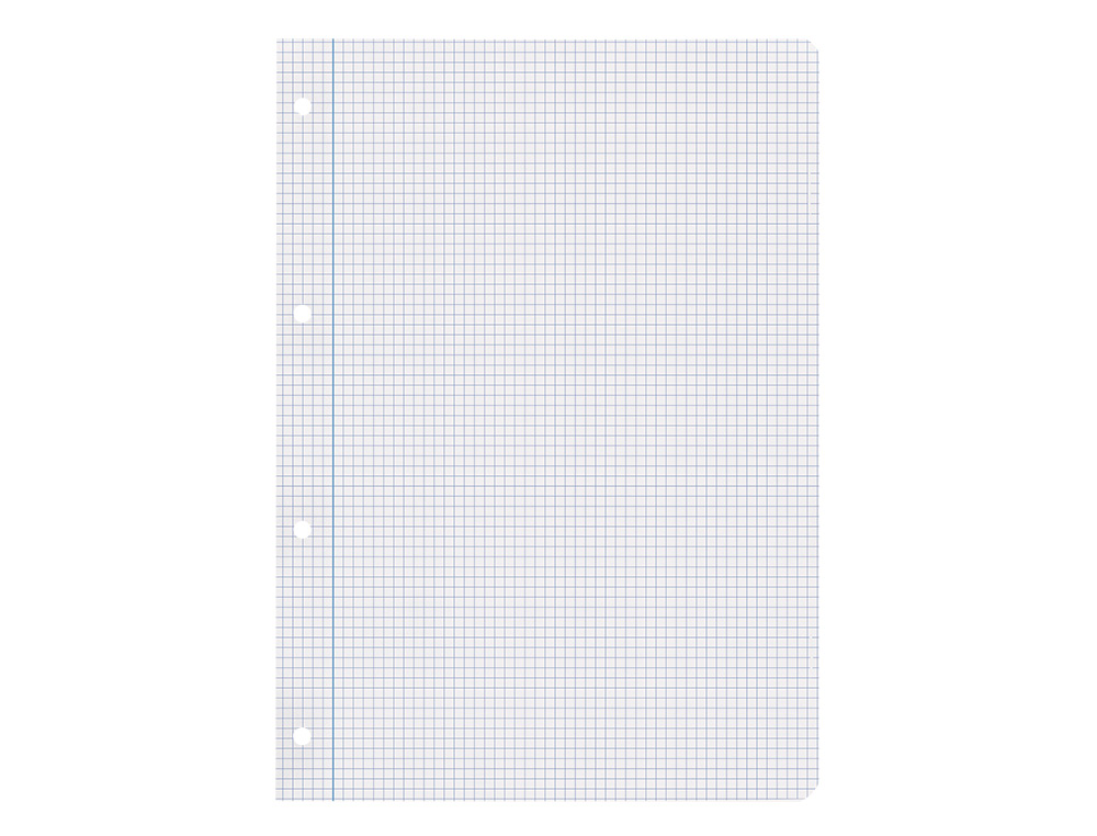 RECARGA LIDERPAPEL DIN A4 100 FOLHAS 100G/M2 QUADRICULA 4MM COM MARGEM 4 FUROS