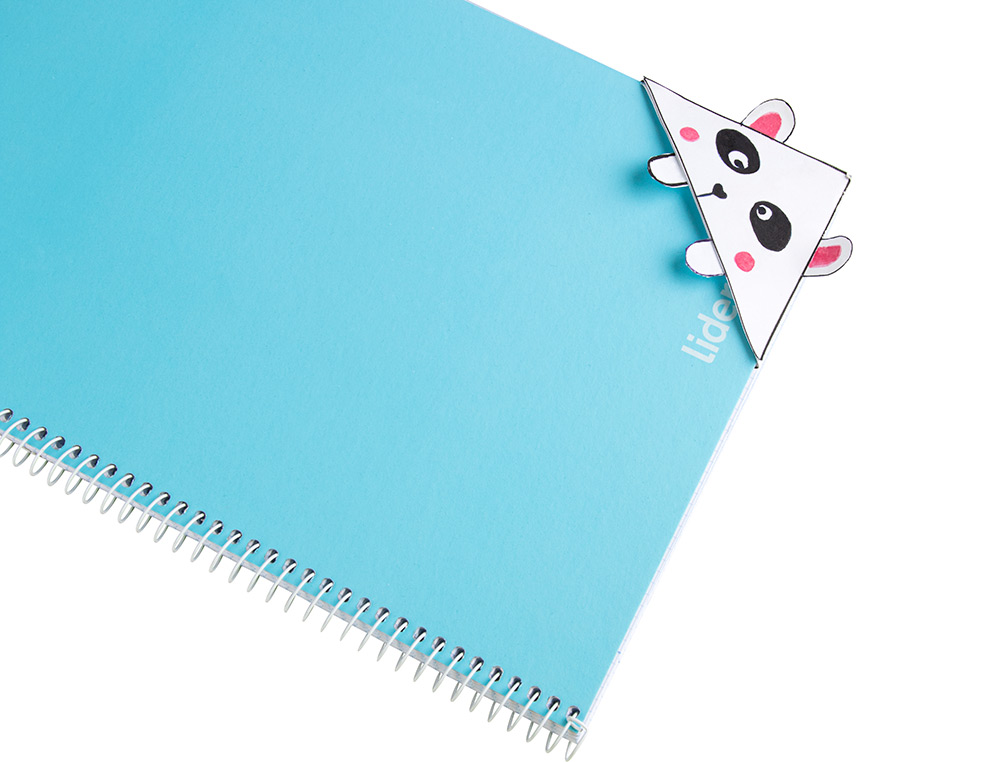 CARTOLINA LIDERPAPEL 50X65 CM 180 GR CINZA