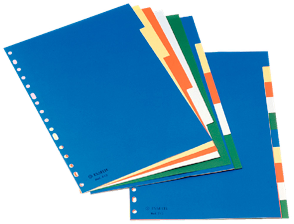 SEPARADOR ESSELTE DE PLASTICO CONJUNTO DE 10 SEPARADORES DE CORES DIN A4 COM 5 CORES MULTIPERFURADO
