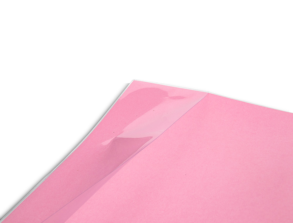 FORRA LIVROS LIDERPAPEL COM ABA AJUSTAVEL ADESIVO 293 X 530 MM
