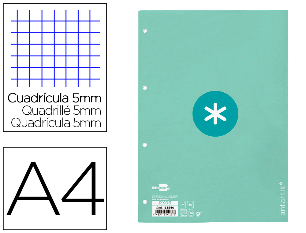 RECARGA COLADA ANTARTIK QUADRICULA DE 5MM DIN A4 100 F 90 GR 4 FUROS 1 BANDA MOLDURA COR MENTA