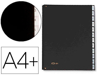 PASTA CLASSIFICADORA PARDO COM FOLE CARTAO COMPACTO FOLIO COM 12 DEPARTAMENTOS VISOR DUPLO PERSONALIZAVEIS COR PRETO
